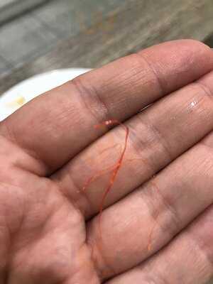 Riverside Spice Restaurant