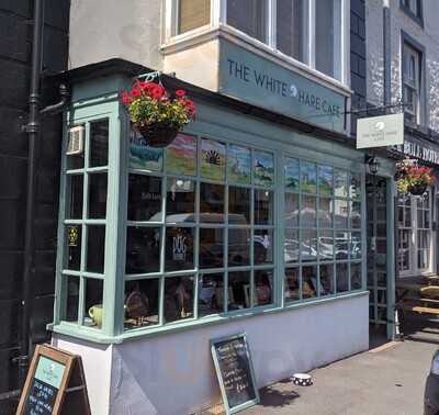 Chofh's Tea Room And Takeaway