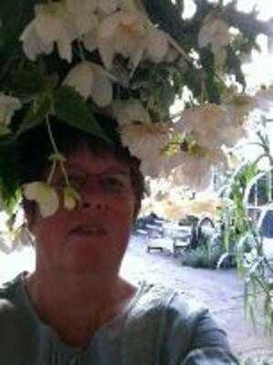 The Colonial Pavilion