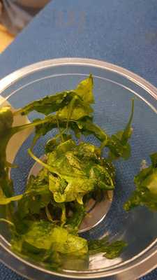 Domino's Pizza - Cardiff - Cardiff Bay