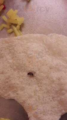 Tandoori Mahal Indian Resturant