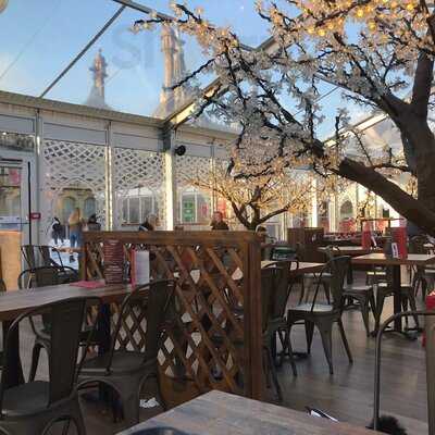 Feast At The Royal Pavilion Ice Rink