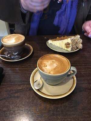 Brighton Coffee Tree Uk