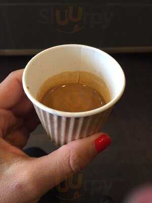 Brighton Coffee Tree Uk