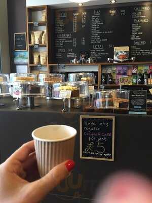 Brighton Coffee Tree Uk