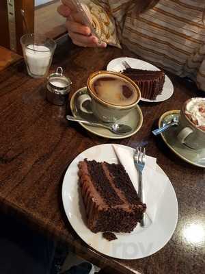 Brighton Coffee Tree Uk