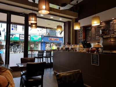 Brighton Coffee Tree Uk