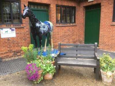 Animal Health Trust Visitor Centre