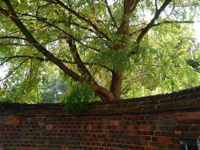 Animal Health Trust Visitor Centre