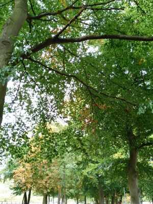 Animal Health Trust Visitor Centre