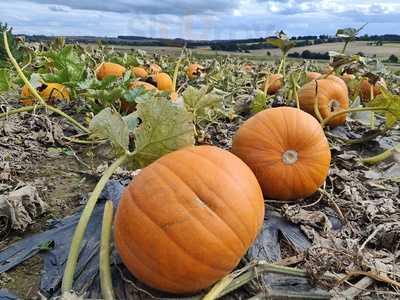 The Moo Cafe At Farmer Copleys