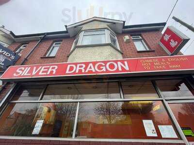 Silver Dragon