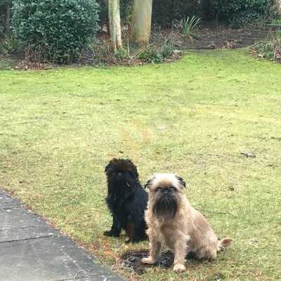 The Rosery Country House Restaurant