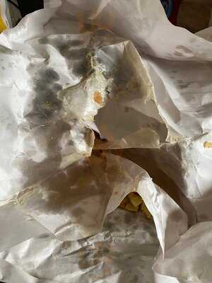 The Plaice In The Square