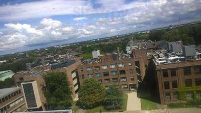 The Library Cafe At University Of Hull