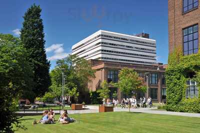 The Library Cafe At University Of Hull