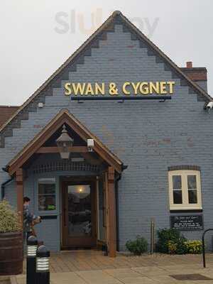 Swan & Cygnet
