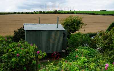 The Shepherd's Hut