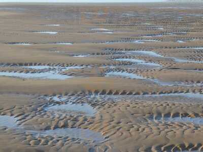 Coasters At The Dunes