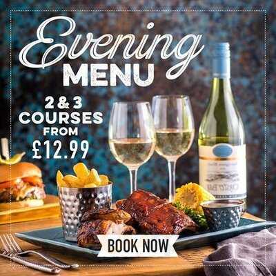 Harvester Oyster Catcher