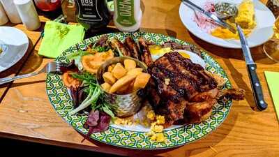 Harvester Oyster Catcher