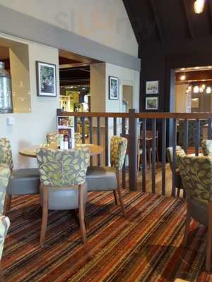 Harvester Oyster Catcher