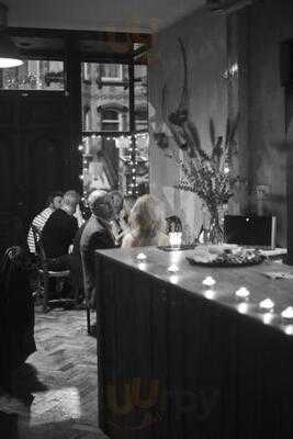 Palate By Andy Freedman