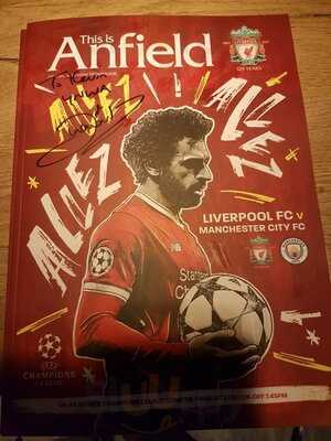 The Carlsberg Dugout