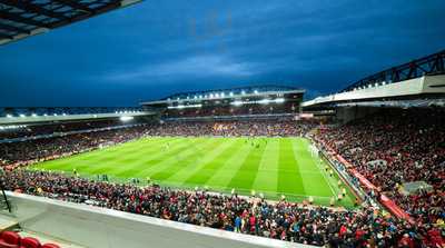 The Carlsberg Dugout
