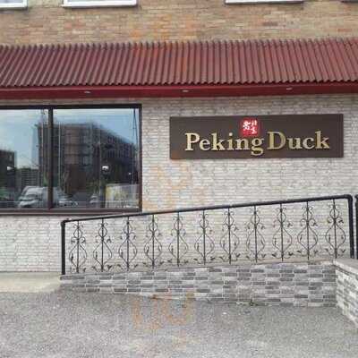 Peking Duck