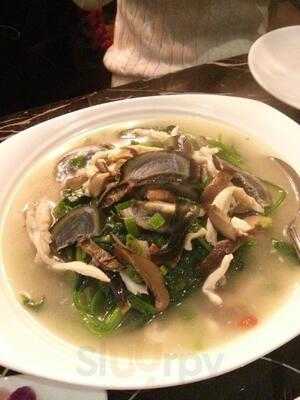 Red & Hot Authentic Szechuan Cuisine