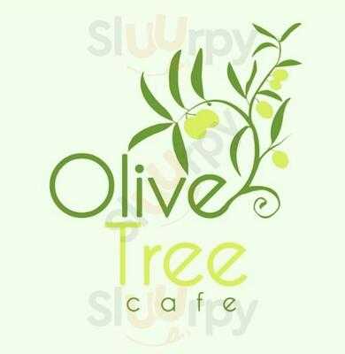 Olive Tree