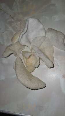 New Culture Chinese Takeaway