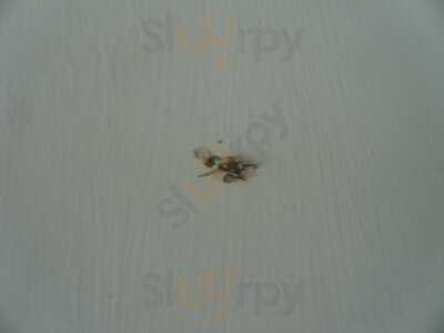 Narborough Hall Gardens