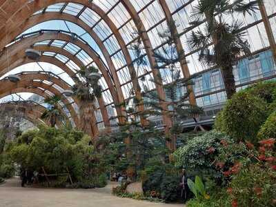 Zooby's Sandwich Deli & Fairtrade Coffee Bar