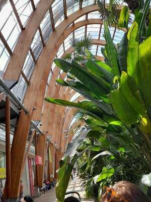 Zooby's Sandwich Deli & Fairtrade Coffee Bar