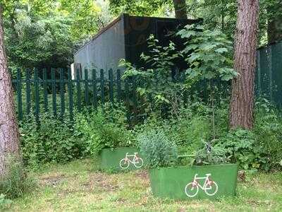 Woodland Coffee Stop