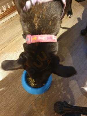 The Queens Head Bar & Restaurant