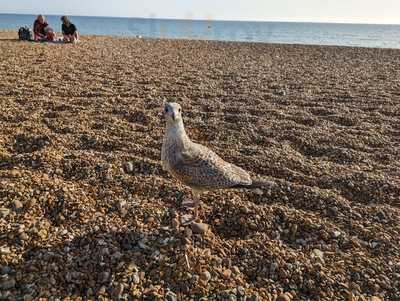 The Meeting Place Cafe
