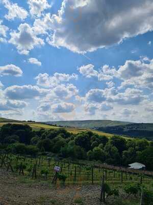 Holmfirth Vineyard