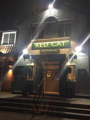 Red Cat