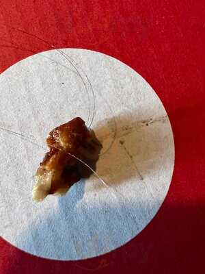 Domino's Pizza - Newcastle - Cowgate