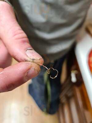 Fortune Inn Chinese Takeaway