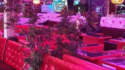 Flavours Shisha Cafe