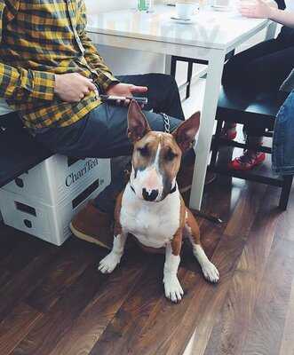 Blooming Skull Coffee