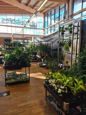 Dobbies Garden Centre Liverpool