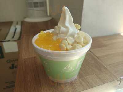 Frurt Frozen Yogurt