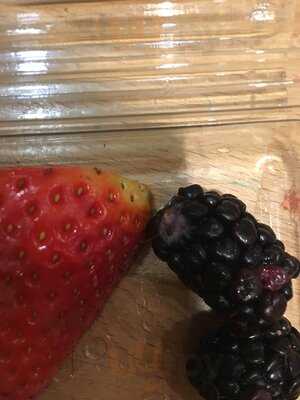 Cafe Zest At House Of Fraser