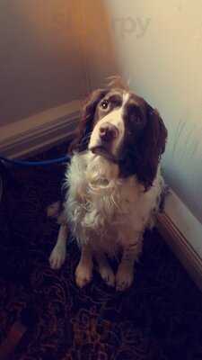 The Hammer & Pincers