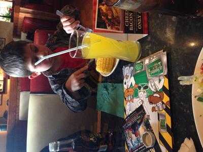 The Bombay Brasserie